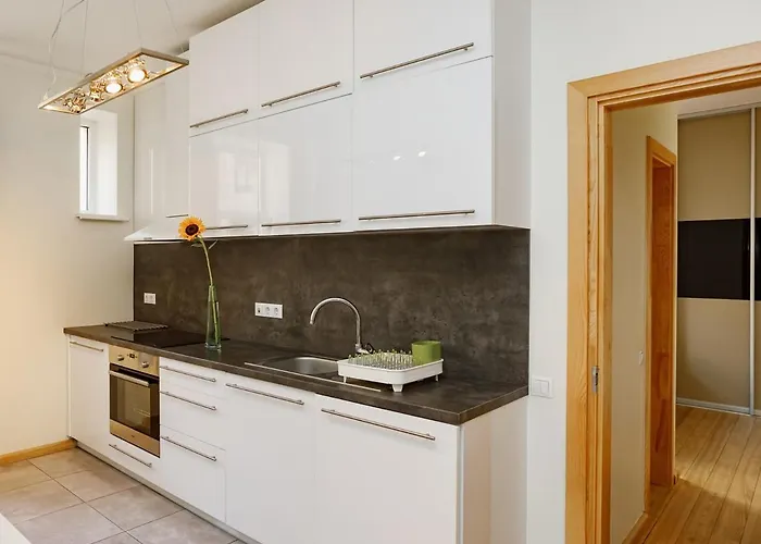 Modern Cozy 1br In Quiet Center Of Dzīvoklis