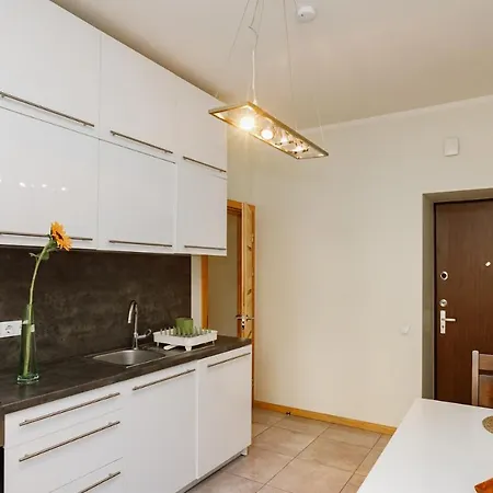 Modern Cozy 1br In Quiet Center Of * 里加
