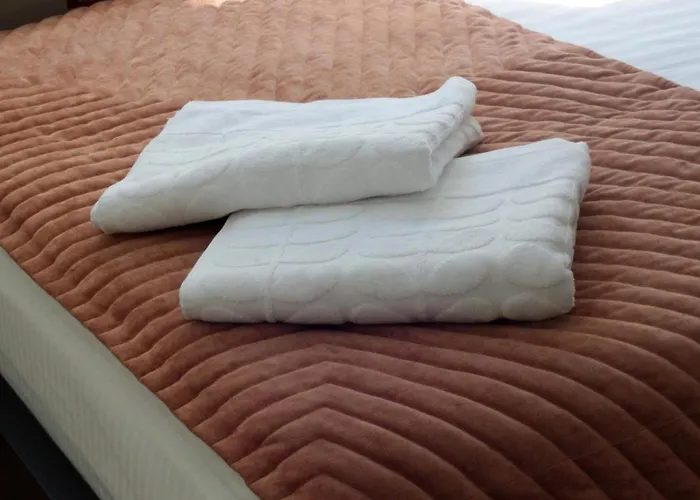 公寓 Modern Cozy 1br In Quiet Center Of 里加